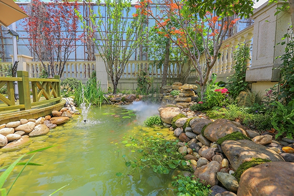 上海庭院水池里的水有什么风水讲究