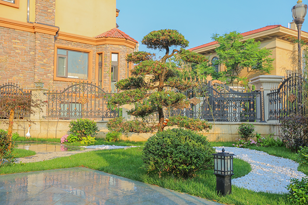 南京别墅庭院花园不能种什么样的植物？
