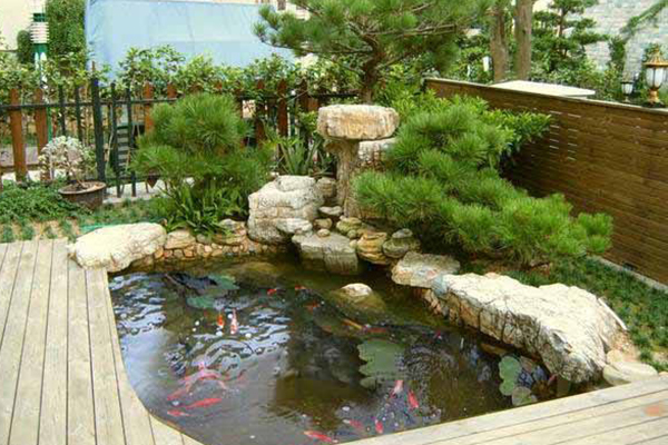 上海别墅庭院不同风格的鱼池
