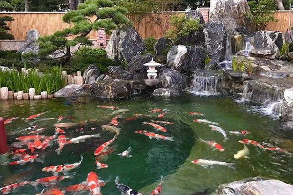 马鞍山别墅庭院不同风格的鱼池