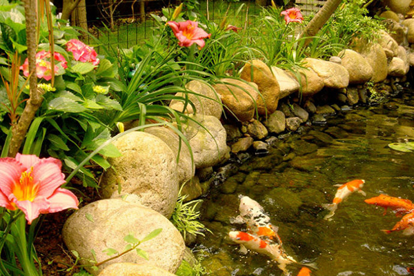 杭州私家花园鱼池风水