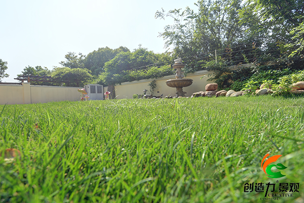 南京别墅庭院草坪的养护