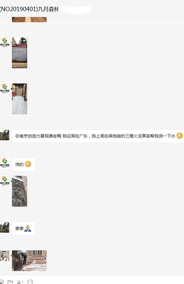 九月森林（一）