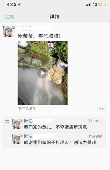 叶泊蓝山（二）